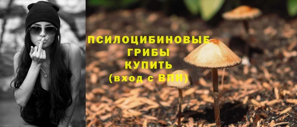 гидра Богданович
