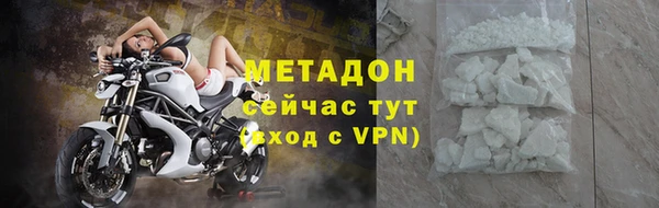 гидра Богданович
