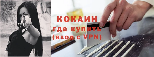 бошки Богородицк