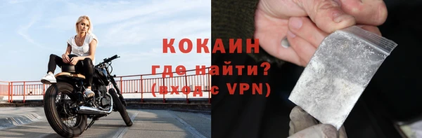 гидра Богданович