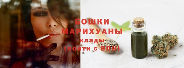 бошки Богородицк