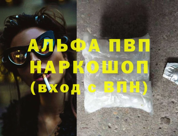 гидра Богданович