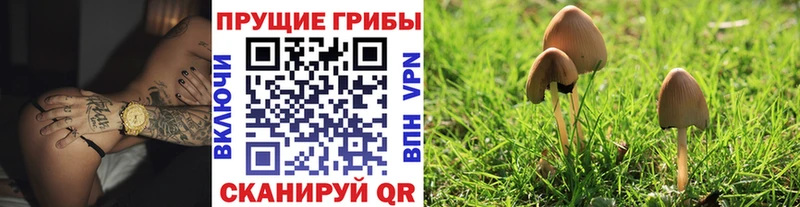 ОМГ ОМГ ссылка  Среднеуральск  Псилоцибиновые грибы прущие грибы 